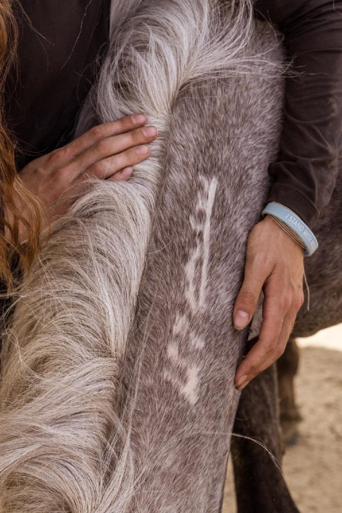 A Close Up of Whisper's Freeze Brand taken by Kimerlee Curyl
