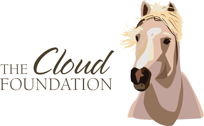 The Cloud Foundation Logo
